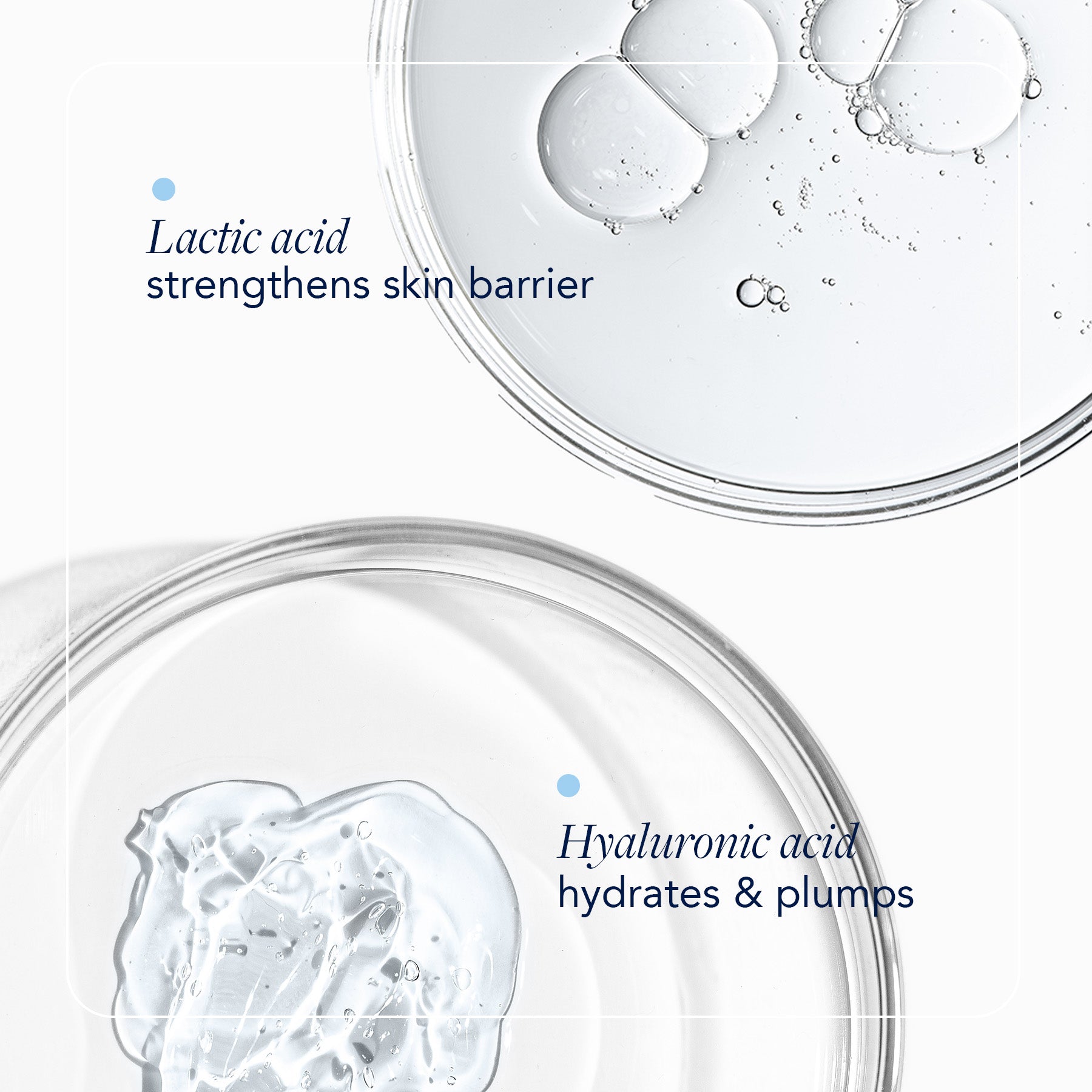lactic and hyaluronic acid benefits with petri dishes with ingredients in background