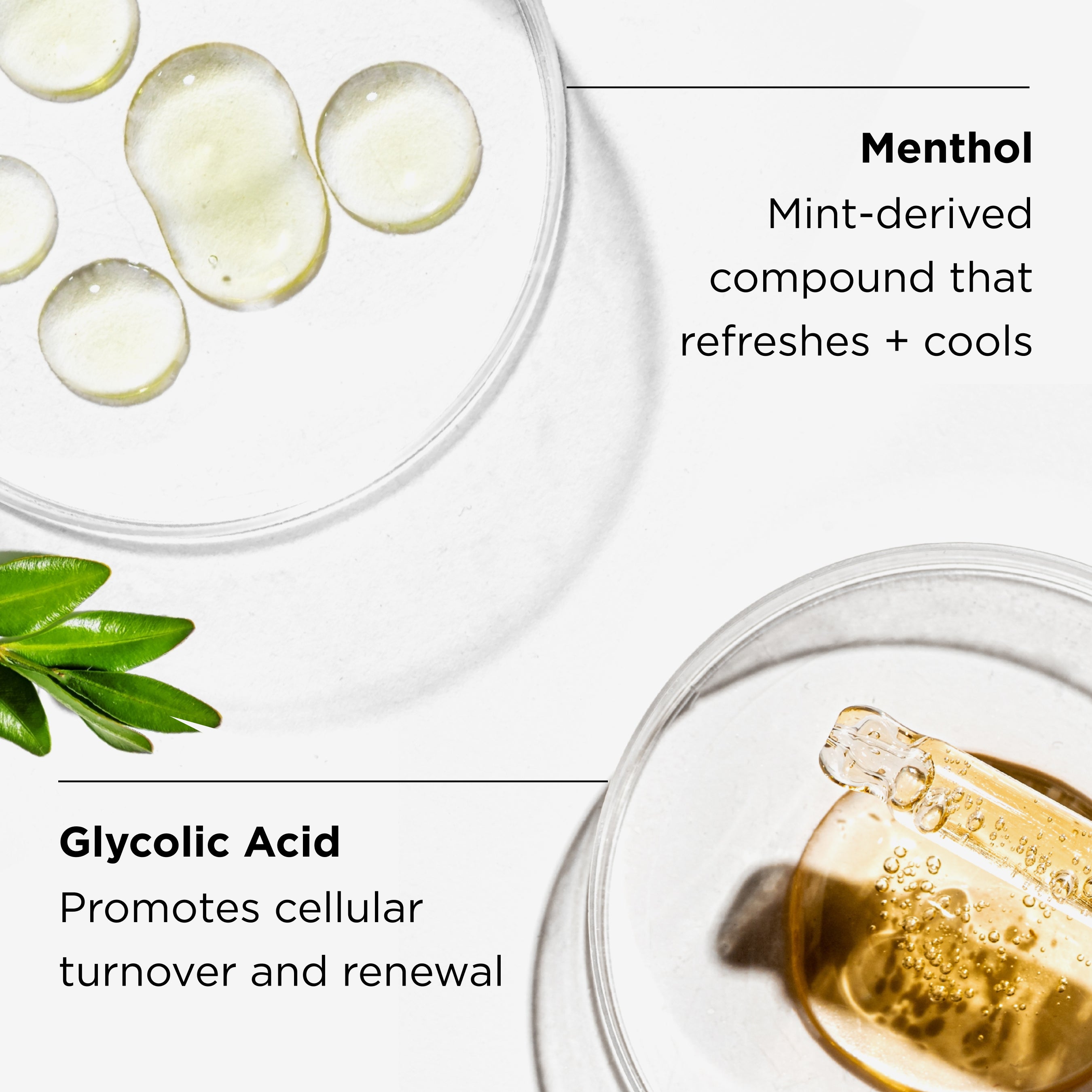 close up of menthol and glycolic acid ingredient shot in petri dish with benefits