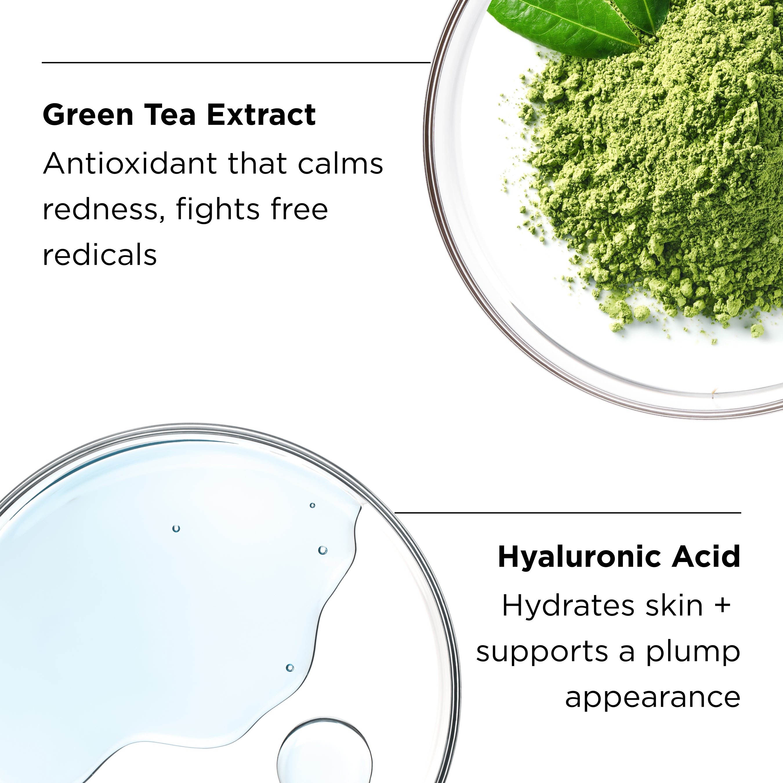 green tea extract and hyaluronic acid ingredients in petri dishes with benefits callouts