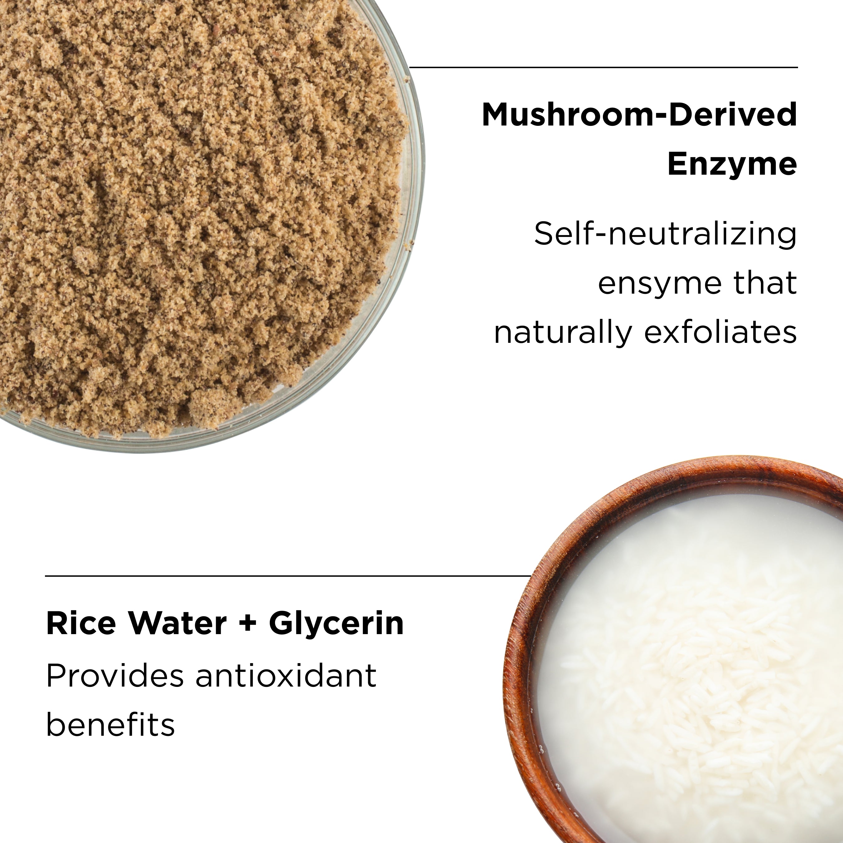 mushroom-derived enzyme and rice water + glycerin ingredients close up with benefits callouts