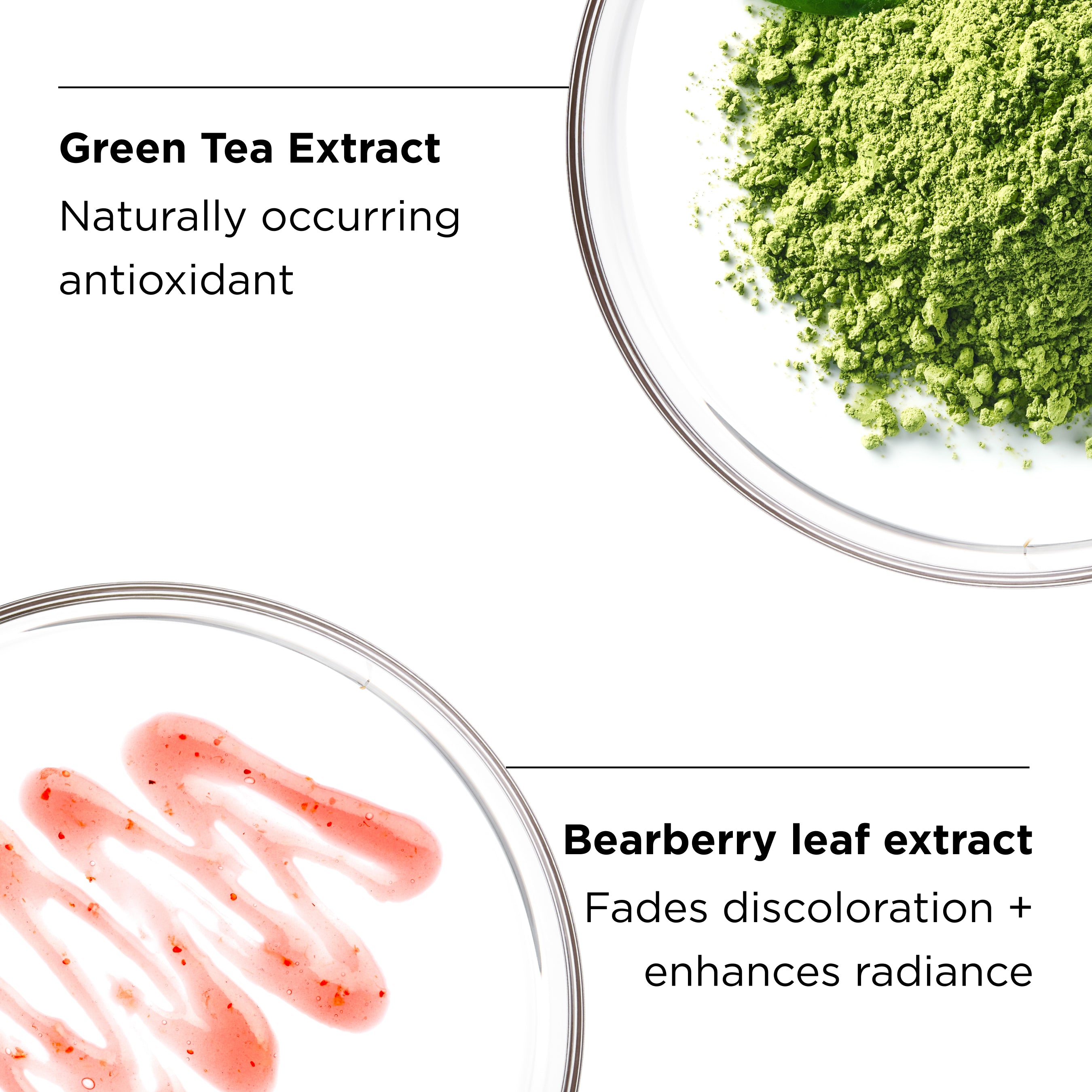 green tea extract and bearberry leaf extract ingredients close up in petri dishes with benefits callouts