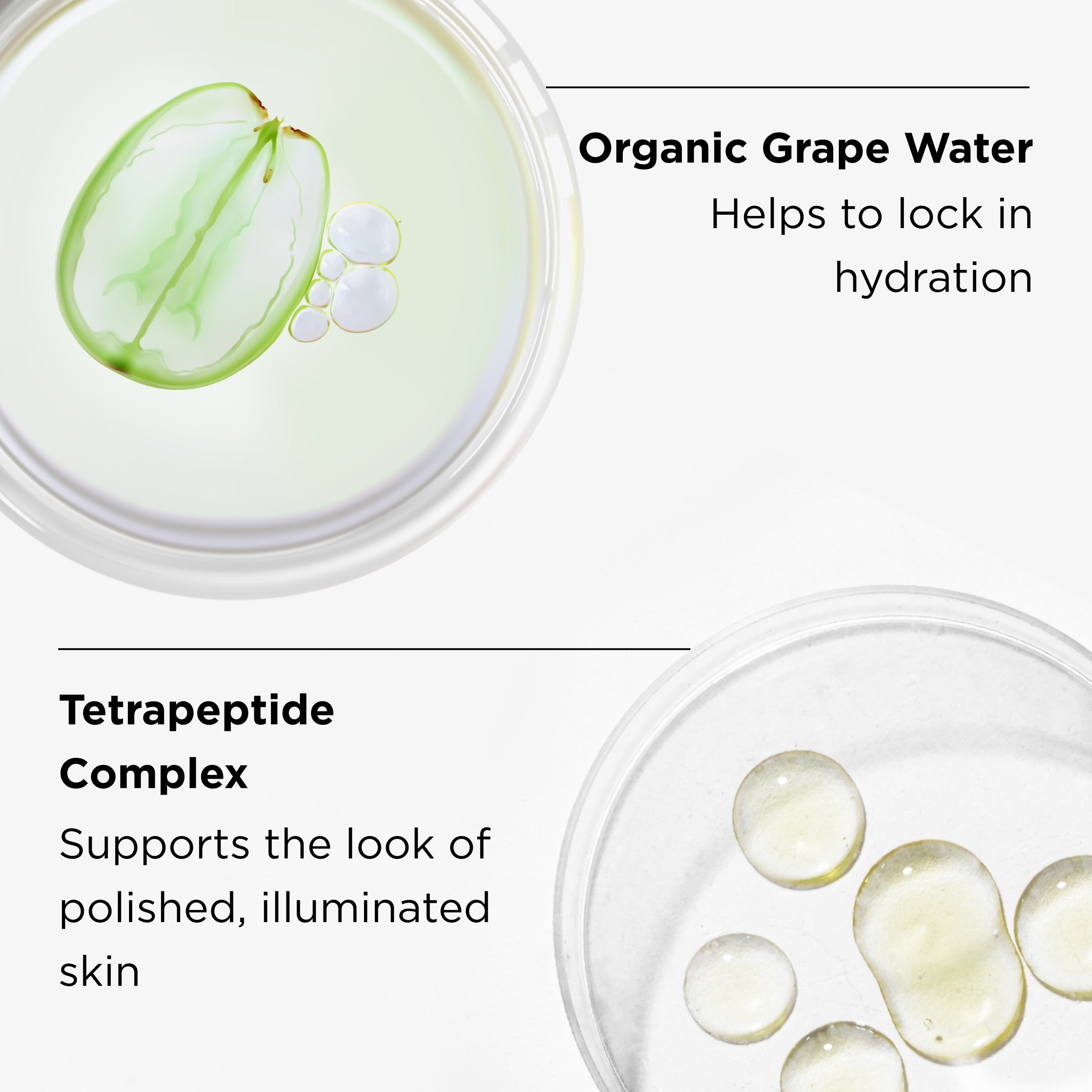 close up of organic grape water and tetrapeptide complex ingredients in petri dishes with ingredient benefits listed
