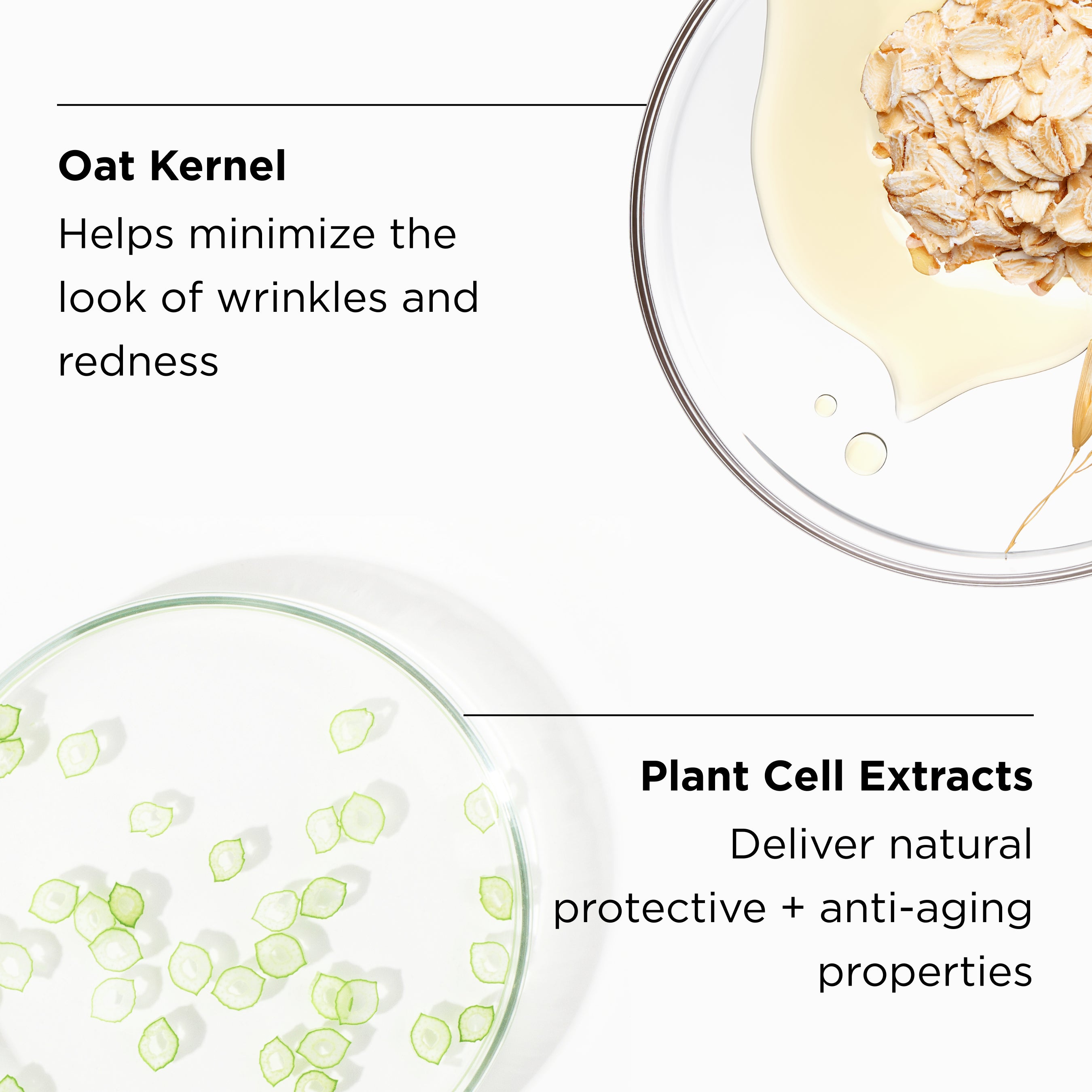close up of ingredients in petri dishes with ingredient benefits listed