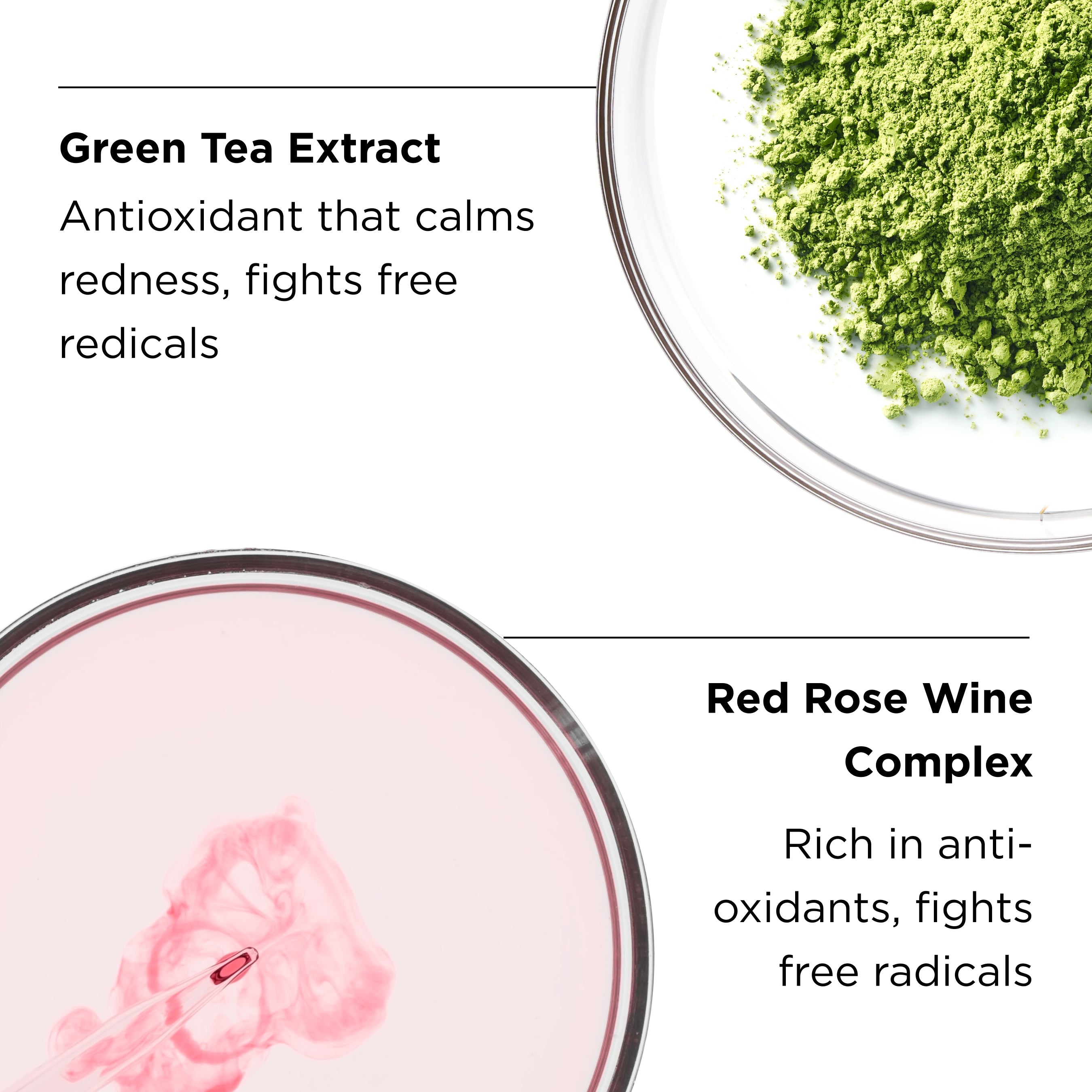ingredients shot of green tea extract powder and red wine rose complex with ingredient benefits