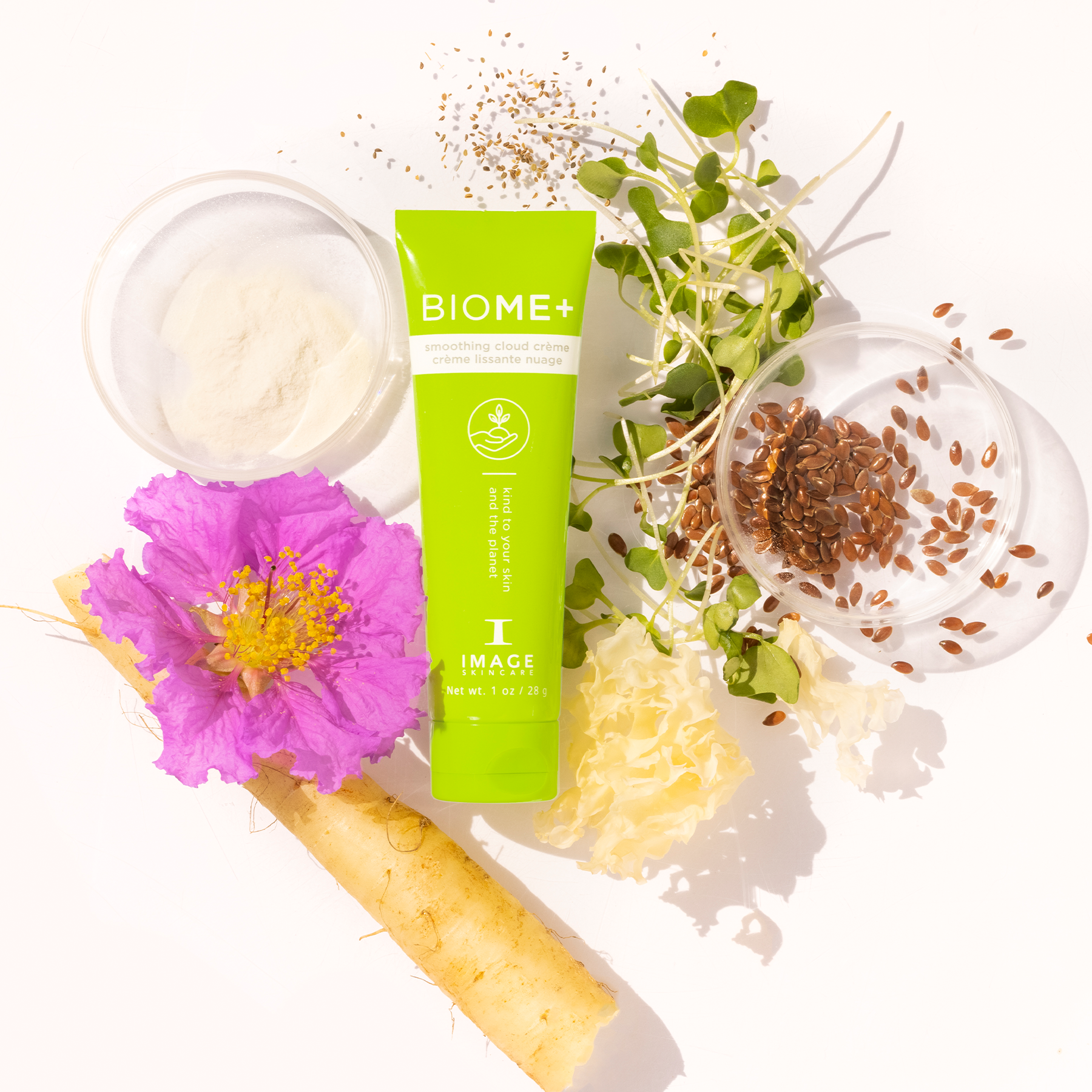 Biome+ smoothing cloud creme travel size tube laid in between petri dishes with ingredients and plant leaves