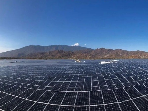 碩果盈枝！中標隆基綠能寧夏項目